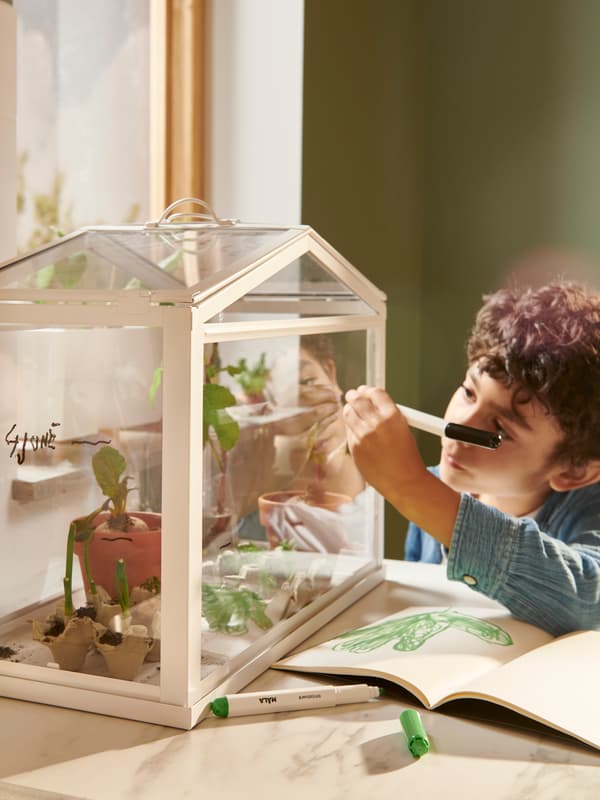 Un horto urbano SOCKER con plantas no seu interior.