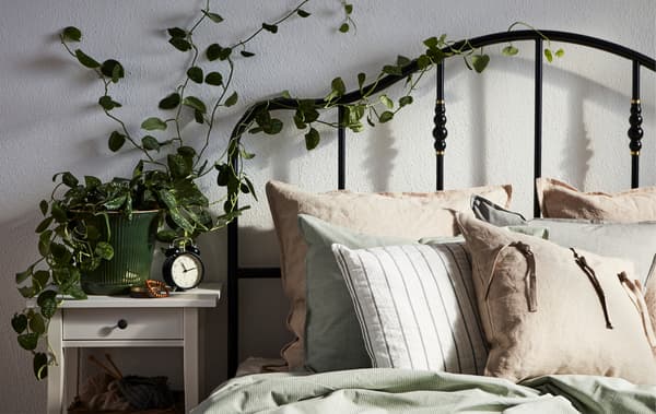 Un lit éclairé par le soleil avec une tête de lit à barreaux autour de laquelle s’entrelace du lierre provenant d’un pot placé sur la table de nuit.