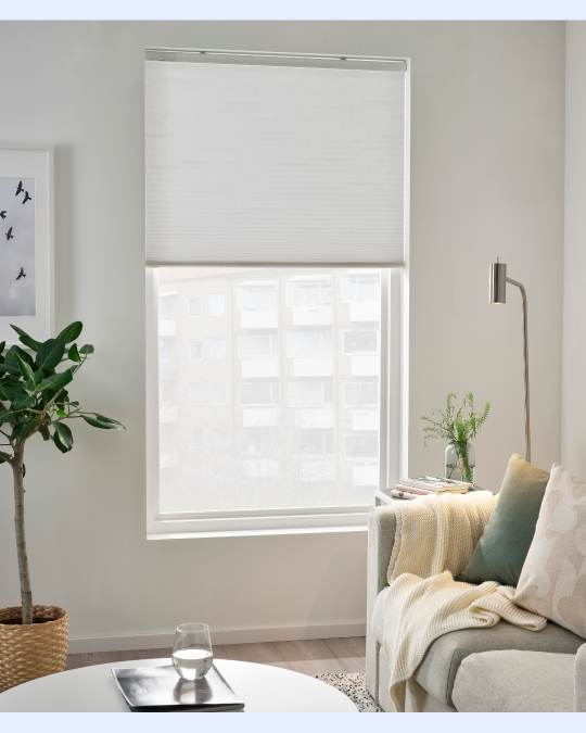 Un living con cortinas plisadas y una planta grande.