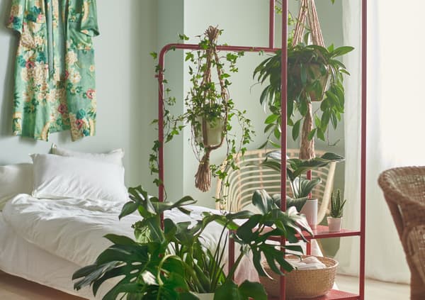 Un llit amb un edredó i llençols blancs en un dormitori amb parets de color verd pastel i un penjador de roba amb plantes davant.