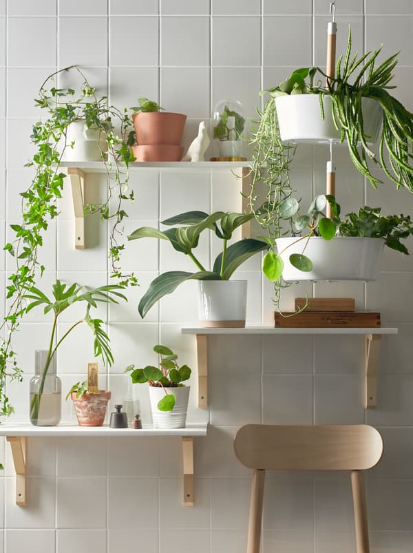 Un mur de plantes composé de trois tablettes à différentes hauteurs et une jardinière à suspendre BITTERGURKA blanche remplie de plantes vertes.