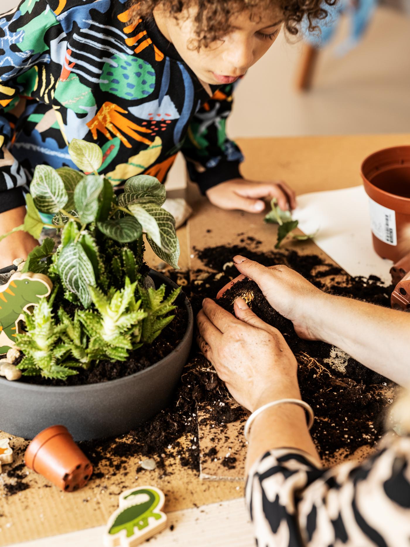 Un nen amb una dessuadora de colors treballa amb terra, plantes verdes i un test PERSILLADE a sobre d'una taula dins de casa.