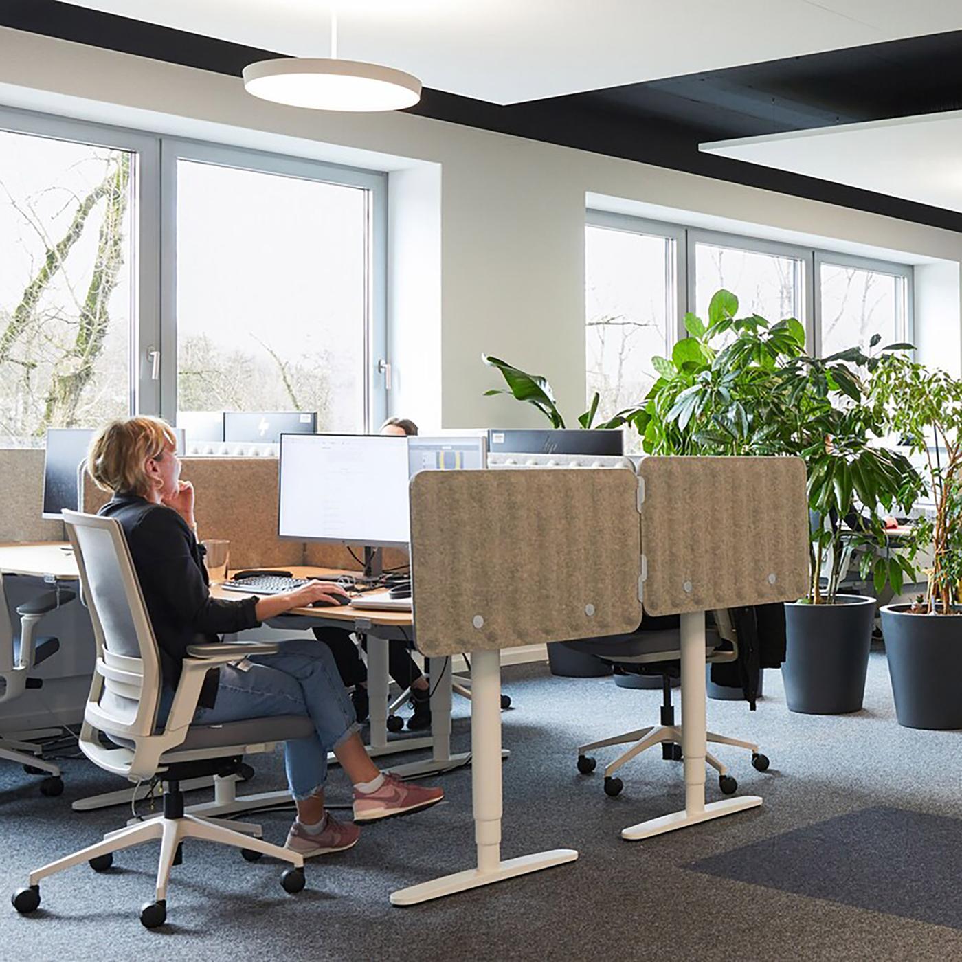 Un open space composé de plusieurs rangées de bureaux clairs, séparées les unes des autres par de grands pots garnis de plantes