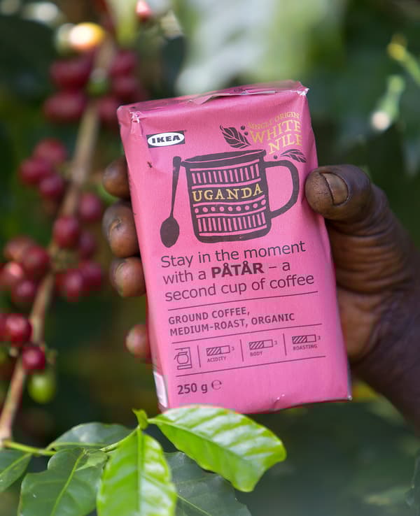 Un paquet rose de café PÅTÅR en édition spéciale 100 % Arabica d'origine unique dans les mains d'un cultivateur de café.