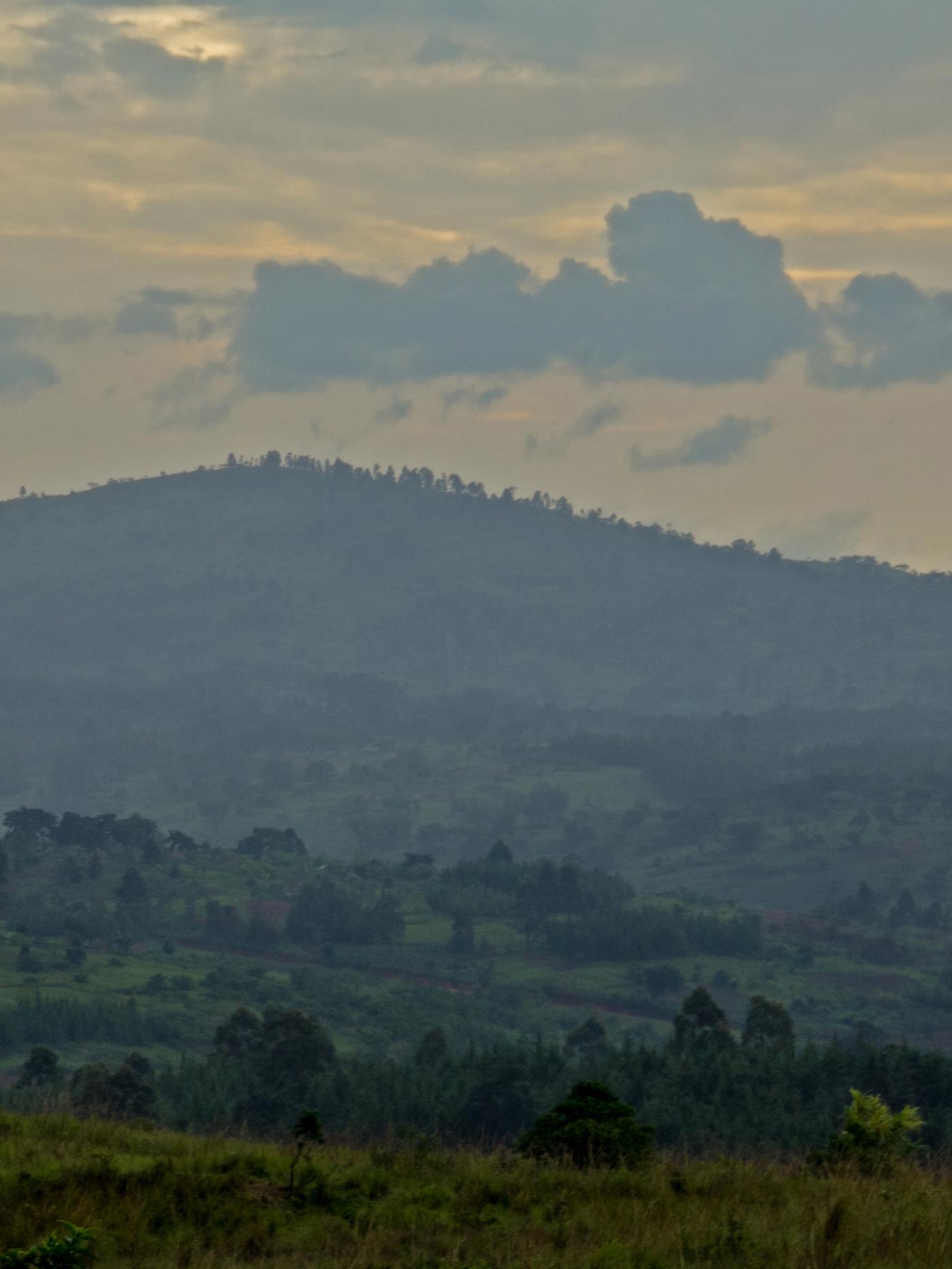 Un paysage vallonné et verdoyant couvert de champs et d’arbres. À l’horizon, le ciel est couvert et des nuages voguent au-dessus des collines.