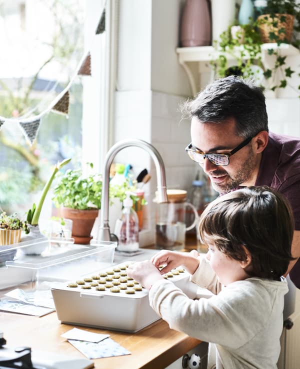Un père et son fils plantant des semis dans une boîte dans une cuisine blanche.