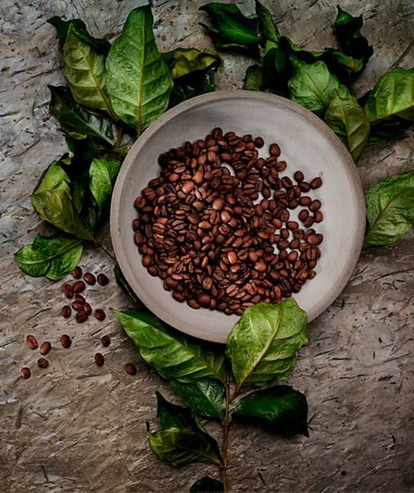 Un piatto in ceramica grigio opaco con chicchi di caffè tostati appoggiato su un ramo sottile con qualche foglia semi-essiccata.