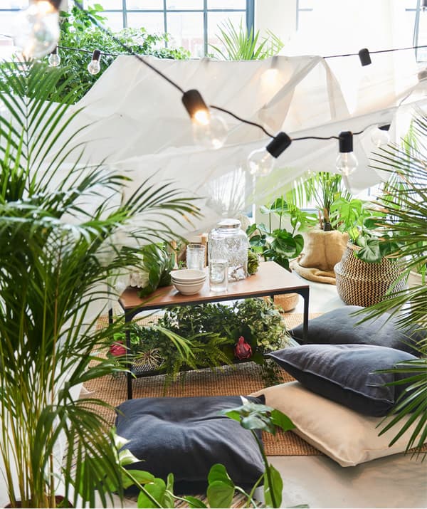 Un pícnic estival en interior, cunha morea de plantas, coxíns no chan, unha grilanda luminosa e unha mesa de centro IKEA FJÄLLBO.