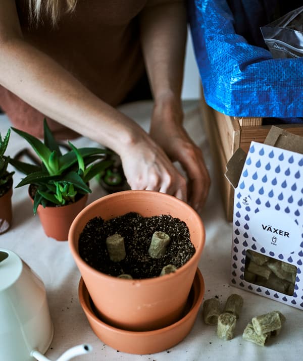 Un pot en terre cuite rempli à moitié de terreau, de gravier et de mottes pour semis, à côté d’un arrosoir et d’une succulente prête à rempoter.