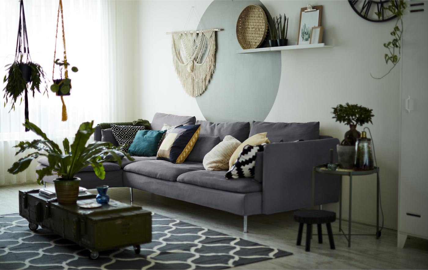 Un soggiorno con un divano grigio e piante da interno. 