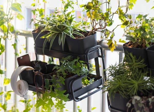 Un soporte para testos IKEA SOCKER rebordando con plantas.