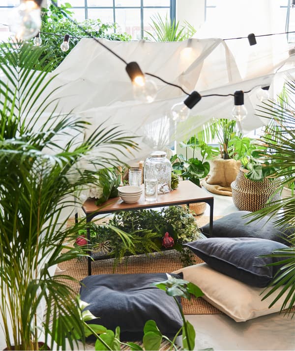 Un tavolino FJÄLLBO, in metallo nero e legno massiccio con dei contenitori di vetro per bevande sopra e sotto un tappeto LOHALS. Accanto al tavolino dei cuscini e delle piante. 