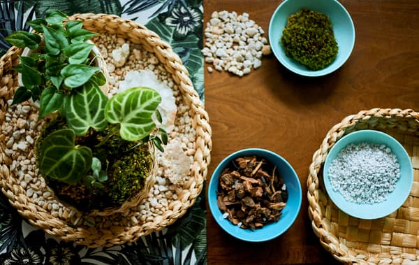 Un tavolo con una striscia di tessuto con motivi floreali, un vassoio con piccole piante e ciotole contenenti materiale da giardinaggio - IKEA