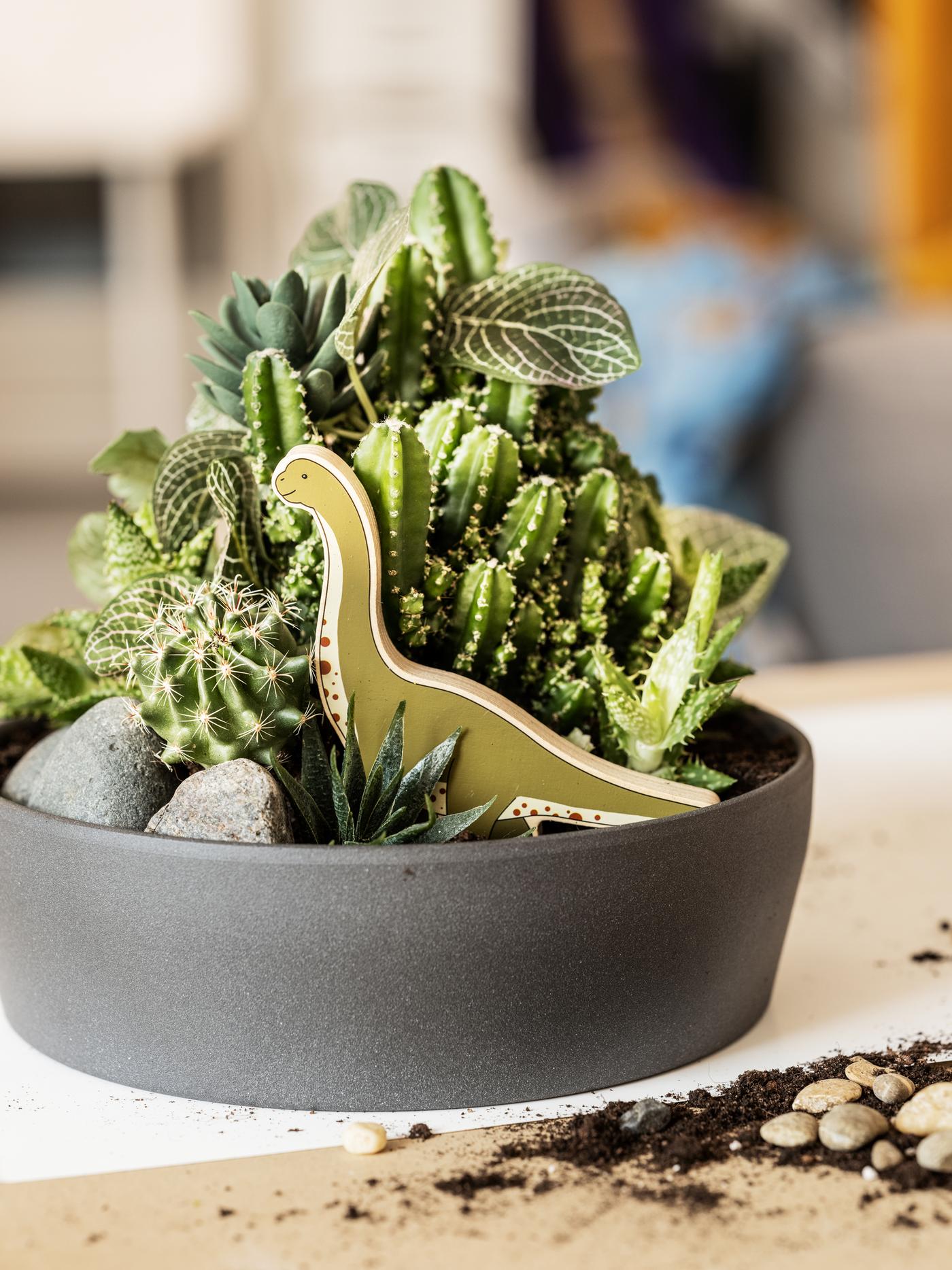 Un test PERSILLADE amb terra, plantes verdes i un dinosaure de joguina del joc de món de dinosaures JÄTTELIK, a sobre d'una taula dins de casa.