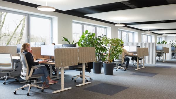 Un ufficio open space con varie file di scrivanie chiare, separate tra loro da grandi vasi di piante