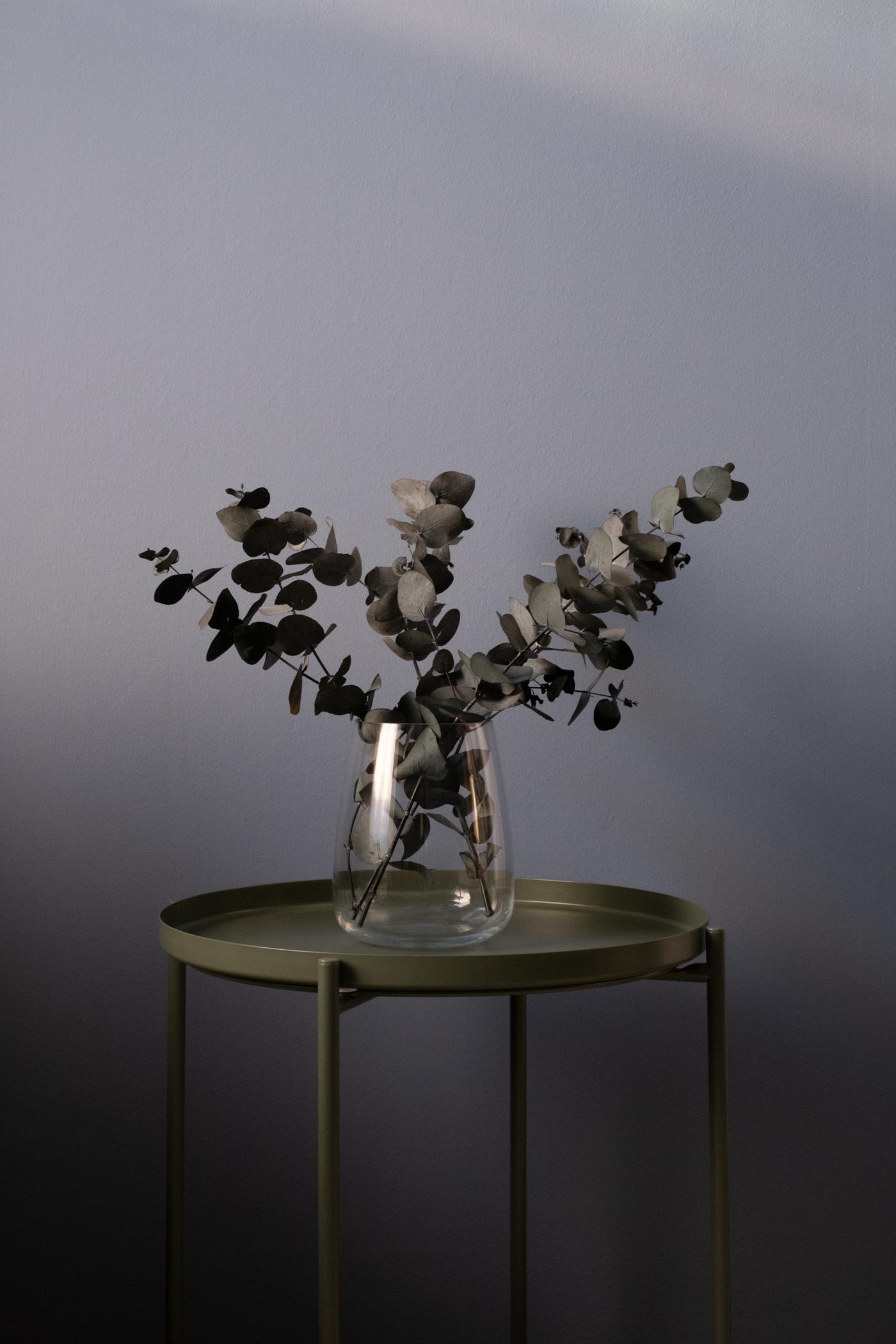 Un vase en verre avec de l'Eucalyptus sur une table d'appoint verte