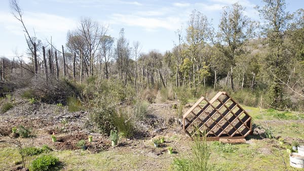 Una bee-house in mezzo a uno spiazzo del parco del Vesuvio.