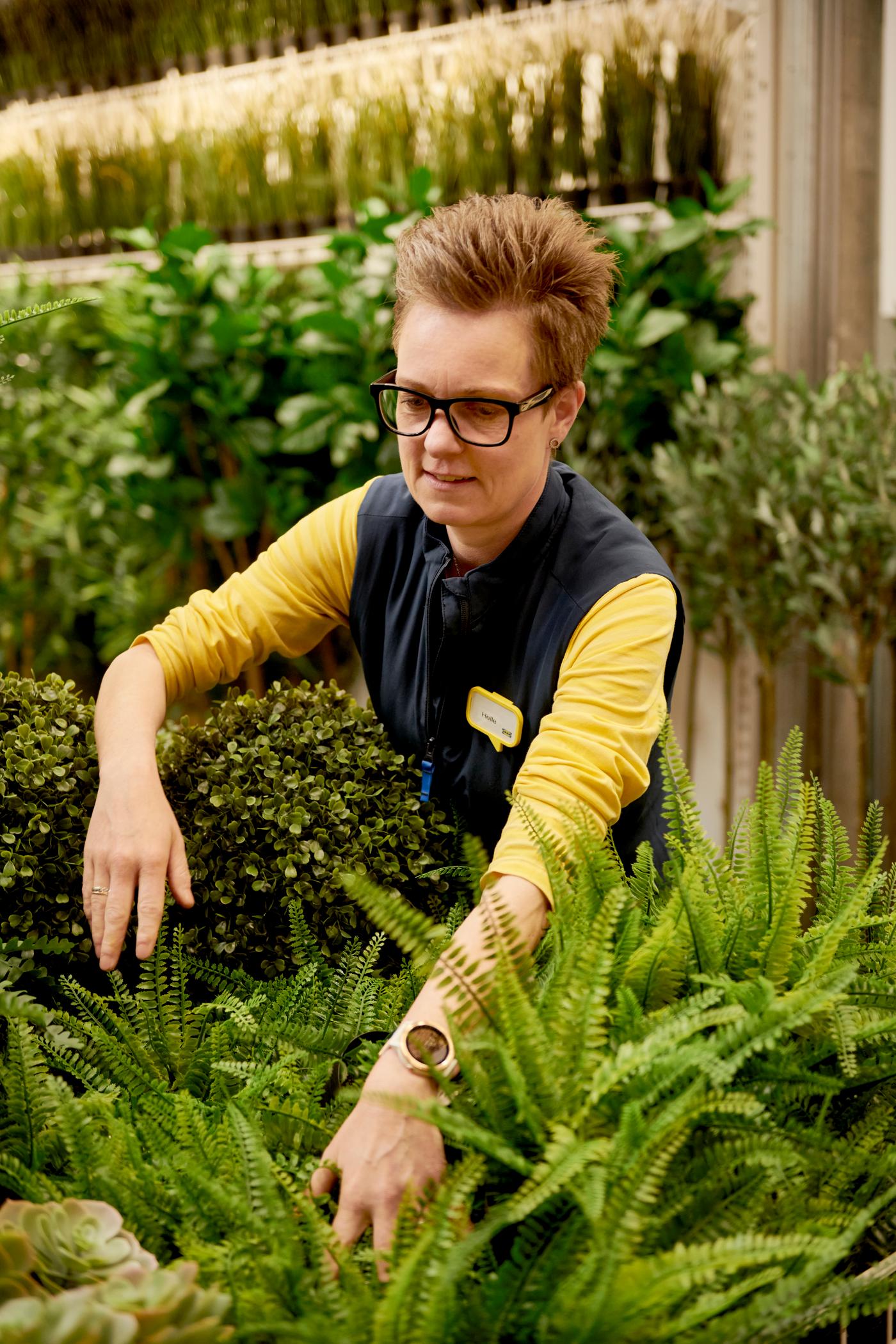Una co-worker mentre sta sistemando alcune piante verdi.