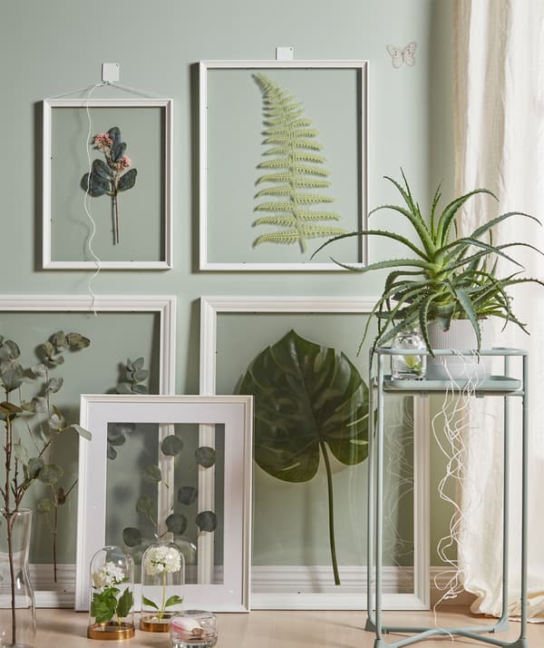 Una decorazione realizzata con fiori e foglie in cornice non richiede acqua né terra.