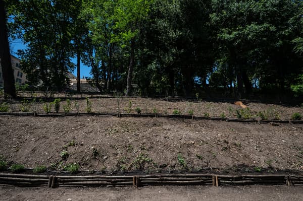 Una foto di un terreno.