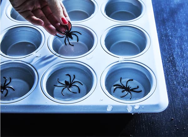 Una mano sta appoggiando un ragno finto in una teglia per muffin piena d'acqua per creare cubetti di ghiaccio di Halloween.