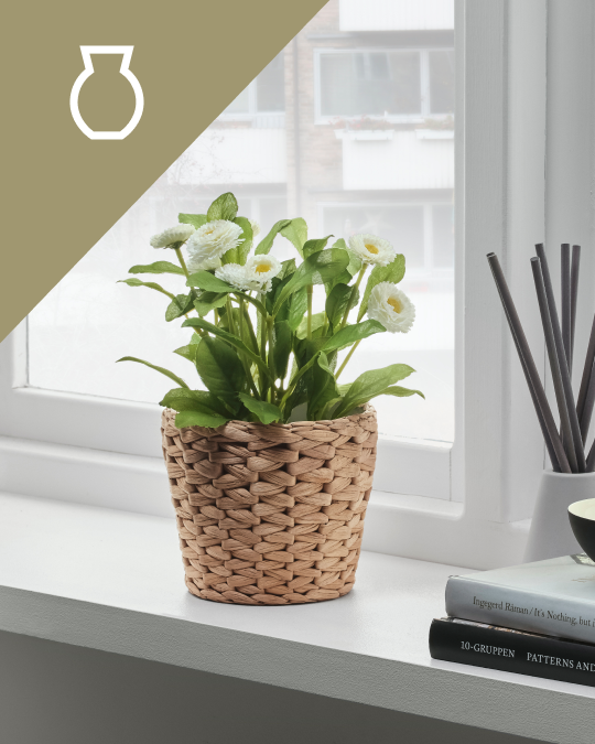 Una matera con flores apoyada en el canto de una ventana.
