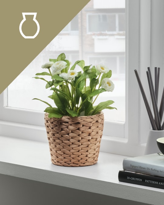 Una matera con flores apoyada en el canto de una ventana.