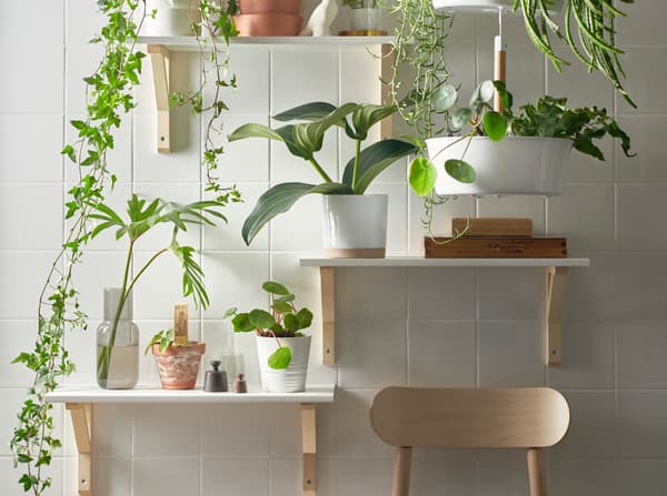 Una pared con tres estantes a distintas alturas y una maceta colgante con plantas naturales.