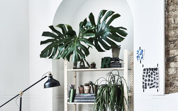 Una paret blanca amb prestatgeries i plantes artificials.
