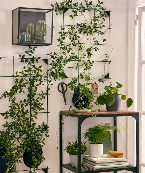 Una parete decorata con piante rampicanti su delle bacheche a griglia circondate da composizioni di piante vere e artificiali.