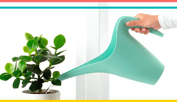 Una persona mentre sta innaffiando una pianta in un vaso bianco con un annaffiatoio IKEA PS 2002 verde.