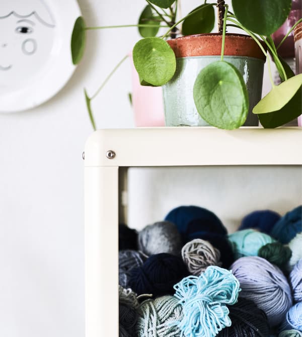 Una pianta su una vetrina piena di gomitoli colorati - IKEA