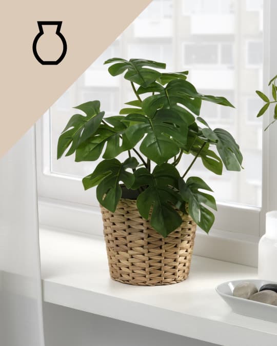 Una planta en una matera de mimbre en el canto de una ventana.