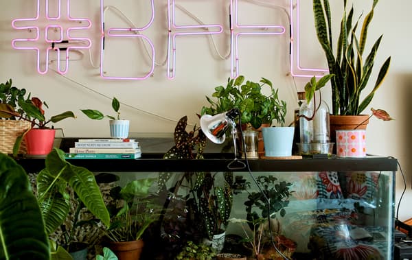 Una stanza con delle piante dentro a un acquario e un’insegna al neon rosa appesa alla parete ­ IKEA