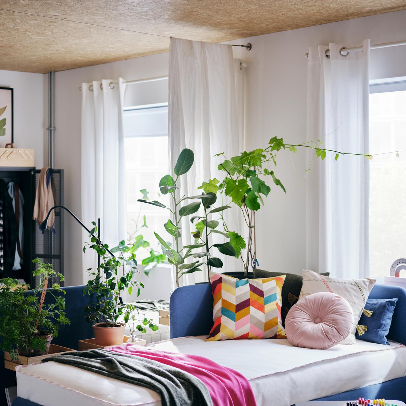 Una stanza con struttura letto BLÅKULLEN con cuscini multicolore, un tavolino, finestre con delle tende e piante verdi - IKEA
