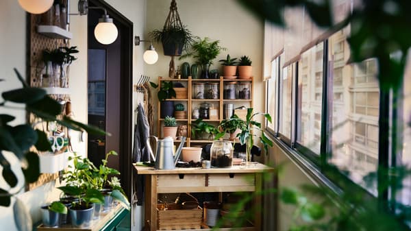 Una terraza con varios muebles y estantes de madera, que sostienen multiples maceteros con plantas. También hay plantas colgando desde el techo.