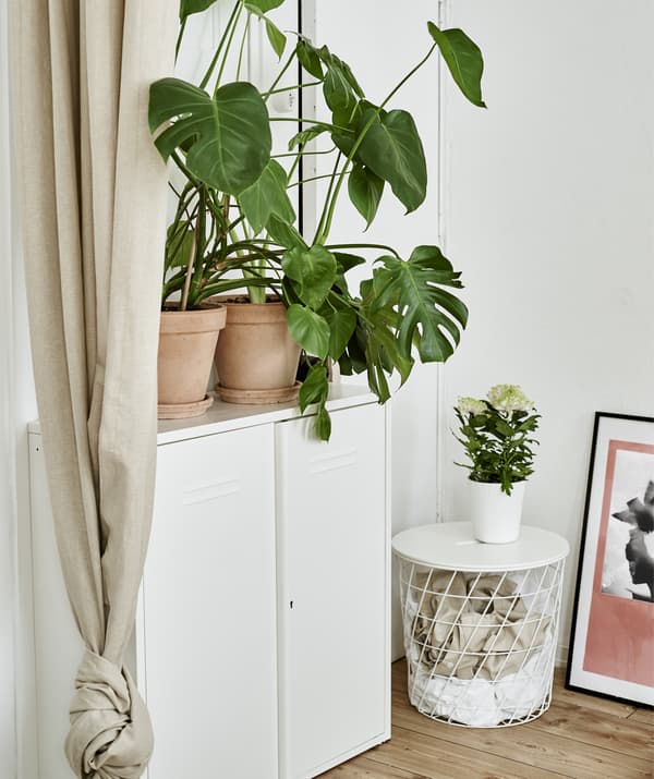 Une armoire métallique blanche, une table de rangement et des plantes.