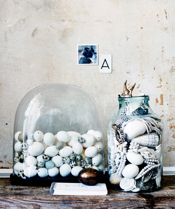 Une collection d'œufs dans un dôme en verre et des coquillages dans un bocal en verre.