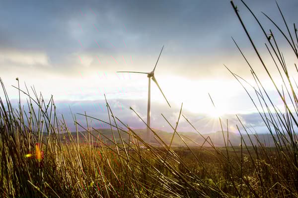 Une éolienne blanche isolée dans un champ, avec au-dessus le soleil qui passe à travers les nuages.