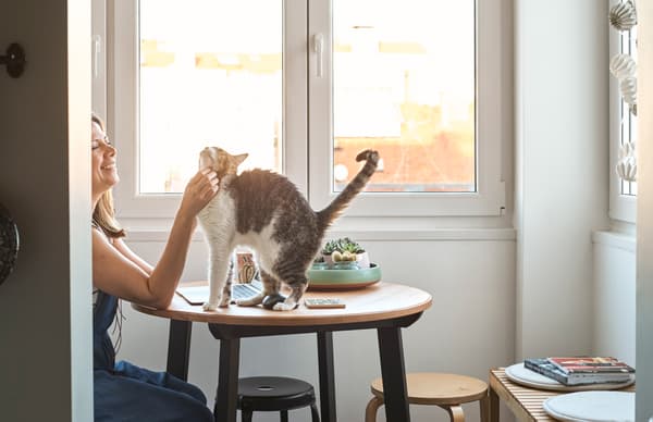 Une femme assise à une table ronde au plateau en bois foncé et aux pieds noirs, en train de caresser un chat debout sur la table.