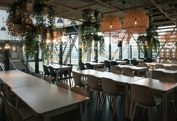 Une pièce avec de longues tables et des chaises, des plantes suspendues et des abat-jour en rotin.