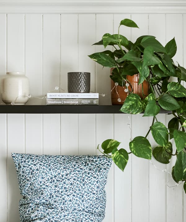 Une plante grimpante exposée avec des vases et des livres sur une tablette en bois foncé suspendue au-dessus d’un lit avec un oreiller à pois bleu et blanc.