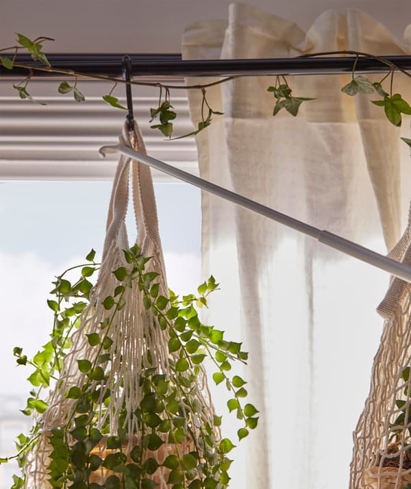 Une plante suspendue à une tringle à rideau est tirée sur le côté à l’aide d’une tirette, pour adapter la luminosité.