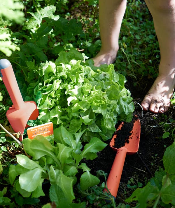 Unelte de grădinărit din plastic roșu răspândite printre plante, în spațiul cu ierburi aromatice din grădină.