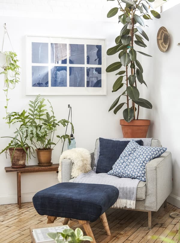 Unha cadeira de brazos e unhas plantas enchen un recanto do salón.
