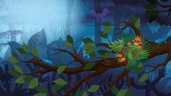 Unha colorida ilustración dun orangután bebé oculto nunha árbore na escuridade.