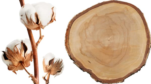 Unha foto que mostra algodón e madeira naturais, as dúas fontes sostibles máis usadas na fabricación dos produtos IKEA.