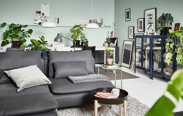 Unha sala de estar cun sofá gris, unha pequena mesa de café, unha vitrinas azuis, plantas e lámpadas.
