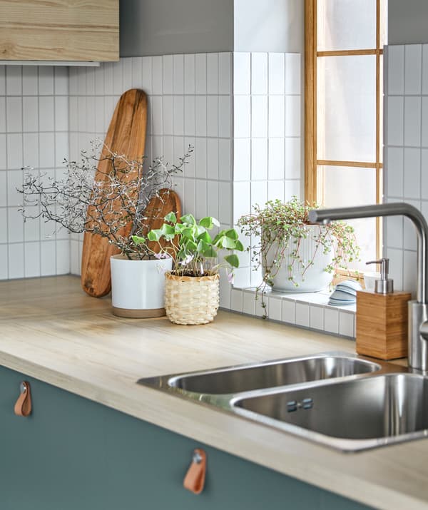 Unha variada selección de plantas en testos decorativos agrupadas nun mesado de cociña e un peitoril ao seu carón, iluminado polo sol.