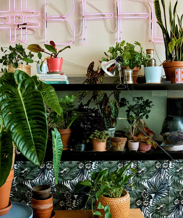 Un’insegna al neon rosa appesa sopra ad alcune mensole nere che ospitano piante in vaso di diverse dimensioni.